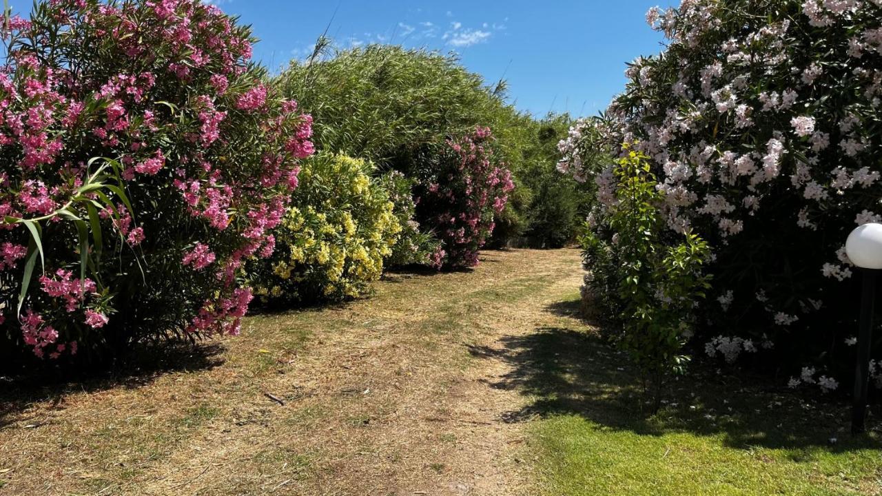 Hotel Frassetto Santa Teresa Gallura Zewnętrze zdjęcie