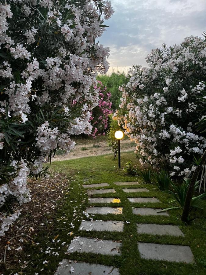 Hotel Frassetto Santa Teresa Gallura Zewnętrze zdjęcie